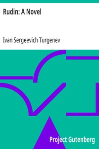 Cover of Rudin: A Novel — A Closer Reading