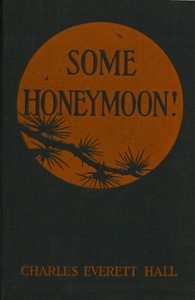 Cover of Some honeymoon! — Reading Companion